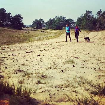 12799441_1264752426875485_1608198547902292738_n