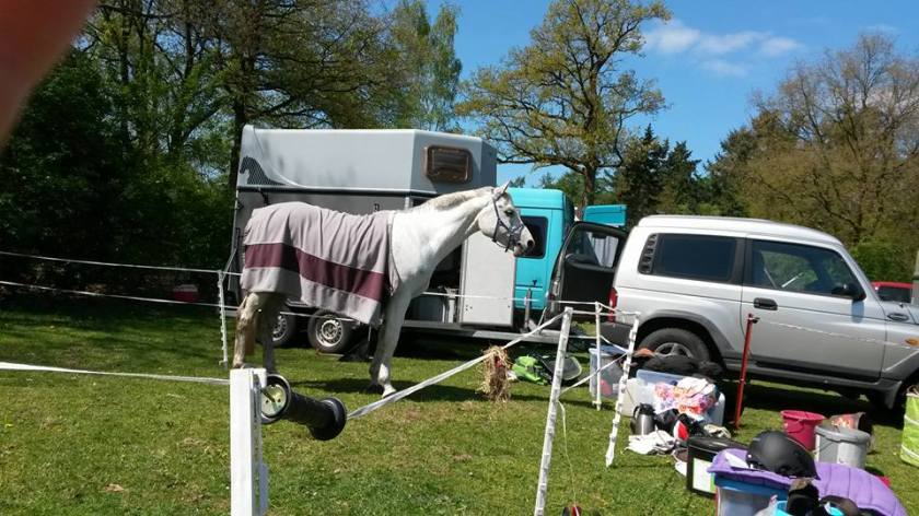 11107742_826367467412732_4965420970321654759_n